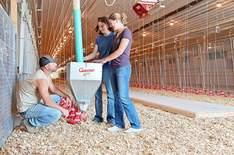 Switching gears: Curryville Farms joins growing number of farmers adding poultry to ag practices